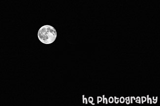 Full Moon at Night black and white picture