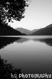 Lake Cresent Tree Silhouette & Sunset black and white picture