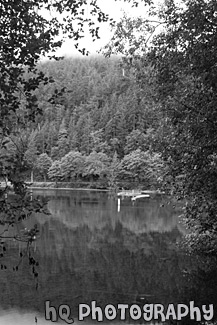 Early Morning Lake Reflections black and white picture