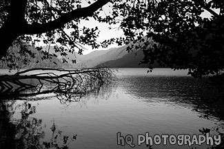 Lake Cresent & Silhouettes black and white picture