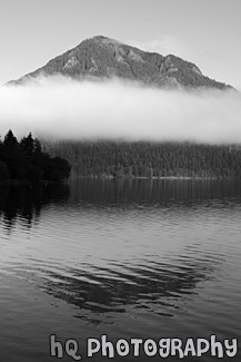 Lake Cresent Fog & Reflection black and white picture