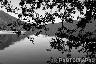 Lake Cresent Reflections & Silhouette black and white picture