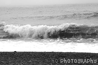 Crashing Wave black and white picture