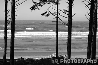 Ruby Beach Ocean Waves black and white picture