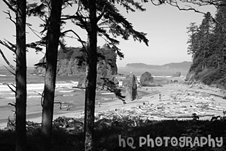 Looking Out at Ruby Beach black and white picture