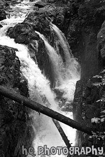 Sol Duc Falls black and white picture