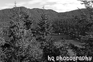 Trees & Mountains Around Lake Cresent black and white picture