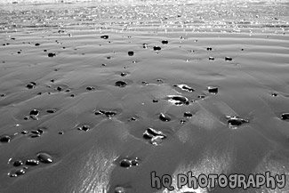 Small Rocks on Beach black and white picture