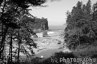 Looking Down at Ruby Beach black and white picture