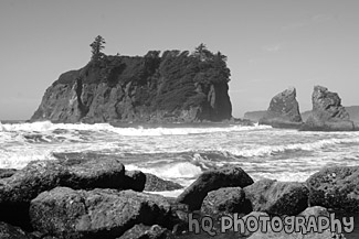 Ruby Beach Sea Stacks black and white picture