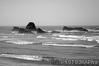 Sea Stacks off Ruby Beach black and white picture
