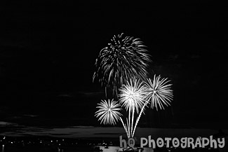 Red & Blue Fireworks black and white picture