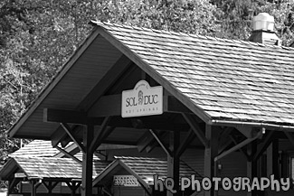 Sol Duc Hot Springs Resort black and white picture