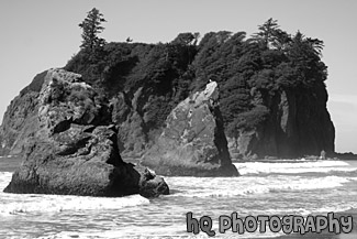 Ruby Beach Sea Stacks & Waves black and white picture