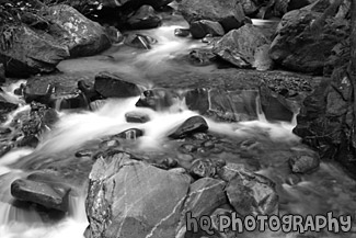 Ladder Creek & Rocks black and white picture