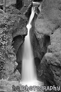 Ladder Creek Falls black and white picture