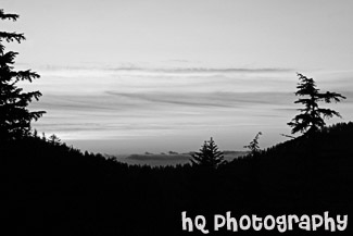 Sunset & Silhouette Trees black and white picture