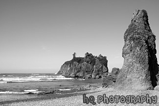 Ruby Beach Sea Stack Rocks black and white picture