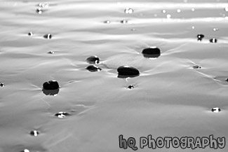 Rocks on Sand black and white picture