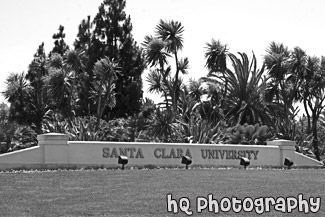 Santa Clara University Main Entrance black and white picture