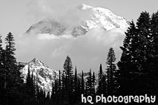 Mt. Rainier in Clouds black and white picture