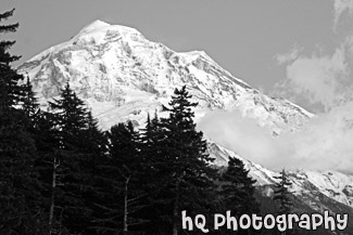 Mt. Rainier &  Sunset Glow black and white picture