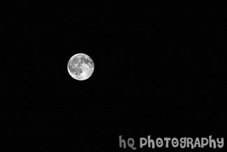 Full Moon black and white picture