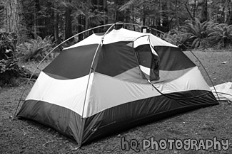 Tent at Campsite black and white picture