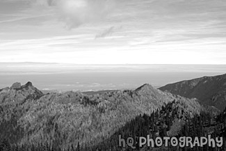 Olympic Peninsula black and white picture