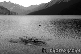 Rock Skipping in Lake black and white picture