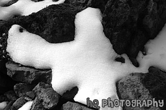 Snow on Rocks Close Up black and white picture