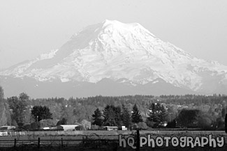 Mt. Rainer & Farmland black and white picture