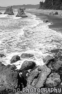 Beach and Rocks at Ruby Beach black and white picture