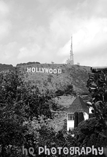 Hollywood Sign black and white picture