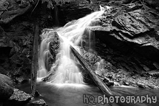 Waterfall, Rocks, & Logs black and white picture