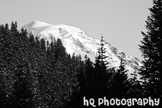 Red Mt. Rainier black and white picture