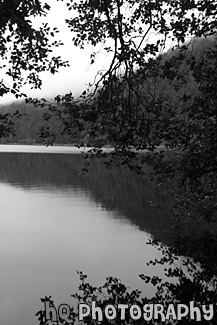 Hill Reflection & Tree Branches black and white picture