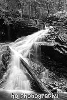 Waterfall & Log black and white picture