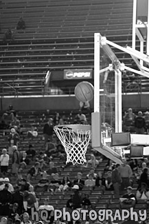 Basketball Hoop & Ball black and white picture