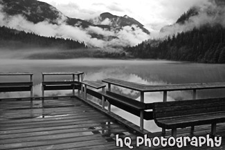 Diablo Lake Trees, Hills, & Dock black and white picture