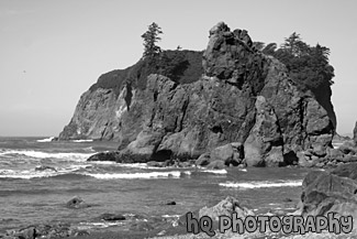 Ruby Beach Rocks & Seastacks black and white picture