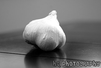 Garlic Head black and white picture