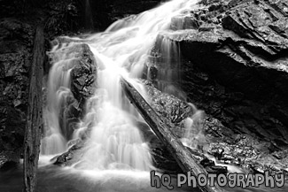 Waterfall and Logs Up Close black and white picture