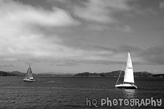 Two Sailboats in San Francisco Bay black and white picture