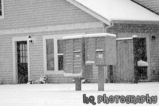 Snow Falling in Residential Area black and white picture