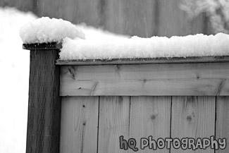 Snow Falling on Fence black and white picture