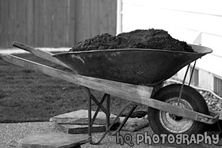 Dirt in Wheelbarrow black and white picture