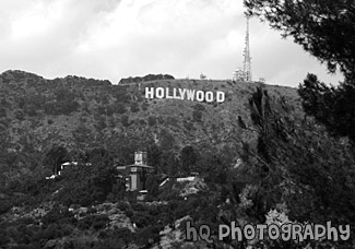 Los Angeles Hollywood Sign black and white picture