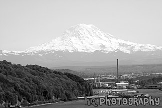 Mt. Rainier From North Tacoma black and white picture