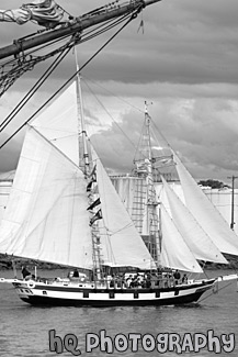 Tall Ship in Puget Sound black and white picture